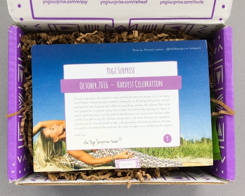 Yogi Surprise Subscription Box Review + Coupon Code – October 2016