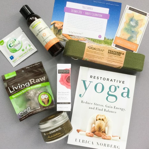 Yogi Surprise Subscription Box Review + Coupon Code – October 2016