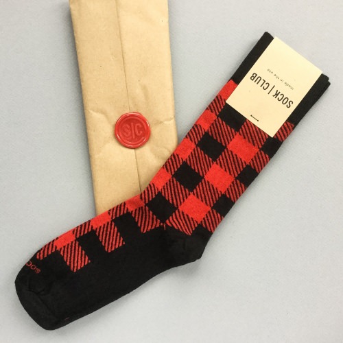 Sock Club Review + Get a FREE Month – November 2016