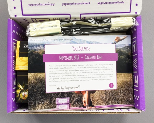 Yogi Surprise Subscription Box Review + Coupon Code – November 2016