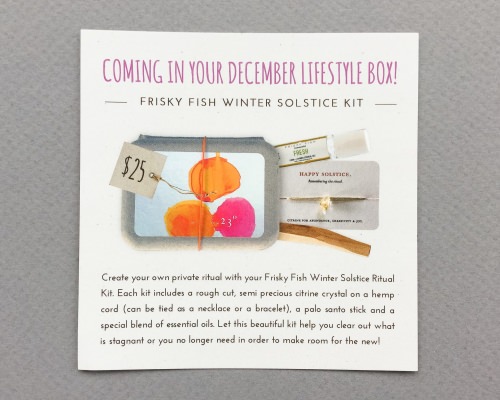 Yogi Surprise Subscription Box Review + Coupon Code – November 2016