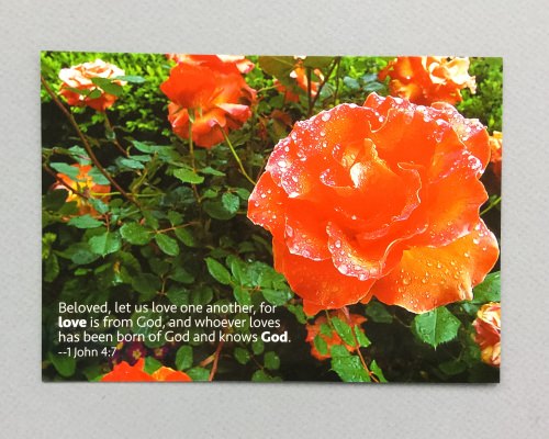 Devotions Delivered Review + Promo Code – October 2016