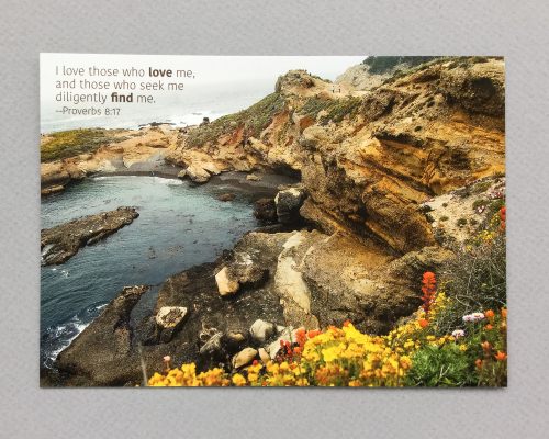 Devotions Delivered Review + Promo Code – October 2016