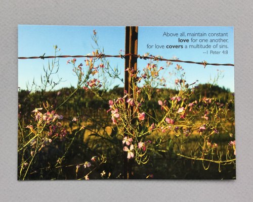 Devotions Delivered Review + Promo Code – October 2016