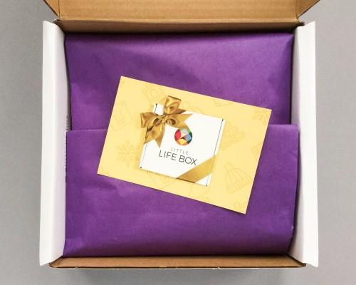 Little Life Box Review + Promo Code – November 2016