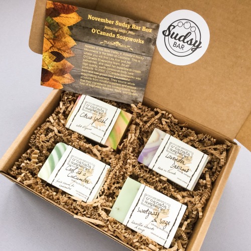 Sudsy Bar Box Subscription Box Review + Coupon Code – November 2016