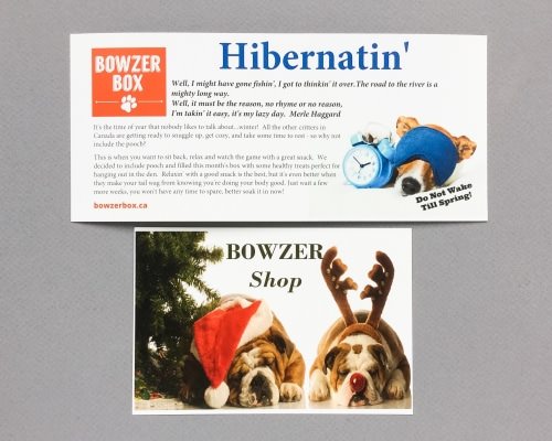 Bowzer Box Review + Discount Code – November 2016