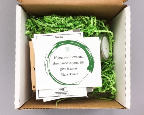 BuddhiBox Review + Coupon Code – December 2016