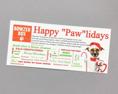 Bowzer Box Review + Discount Code – December 2016