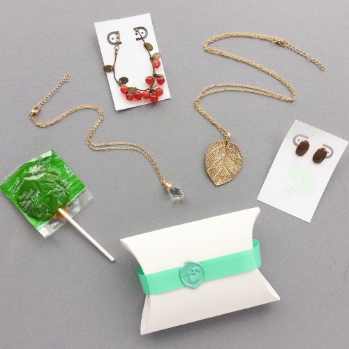 mintMONGOOSE Subscription Box Review – December 2016