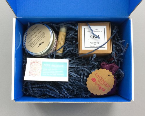 Vancity Box Review + Coupon Code – January 2017