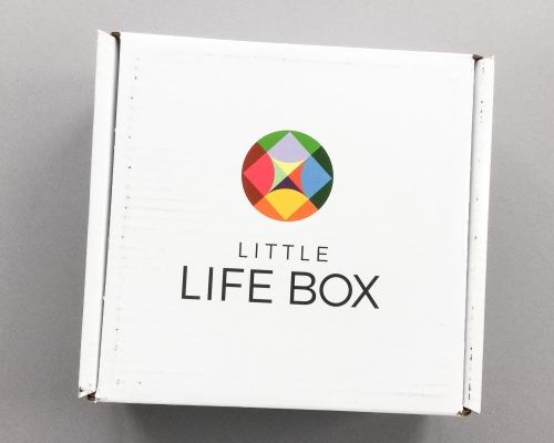 Little Life Box Review + Promo Code – January 2017