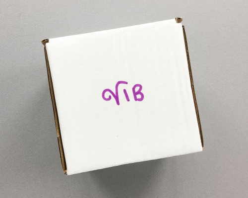 VIBceramics Subscription Box Review + Coupon Code – January 2017