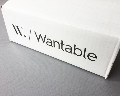 Wantable Intimates Box Review – January 2017
