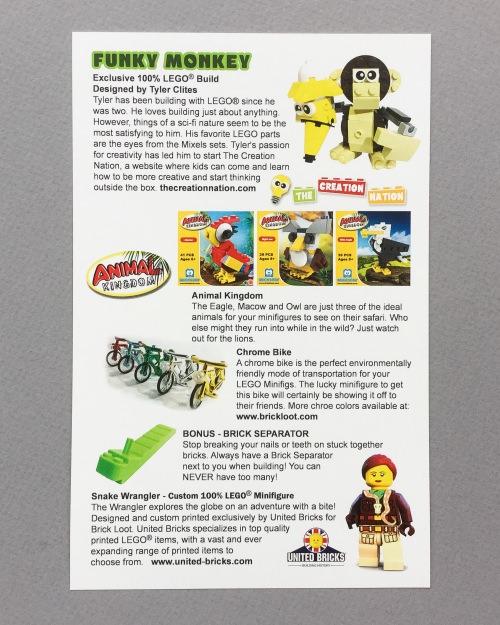 Brick Loot Review + Coupon Code – January 2017