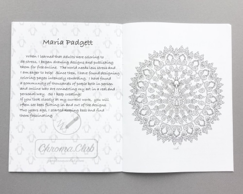 Chroma Club Review + Coupon Code – January 2017