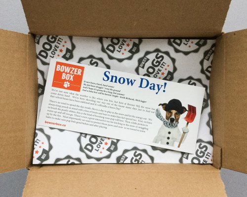 Bowzer Box Review + Discount Code – January 2017