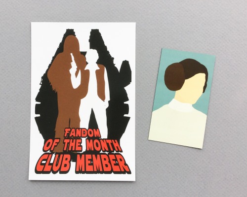 Fandom of the Month Club Review + Coupon Code – January 2017