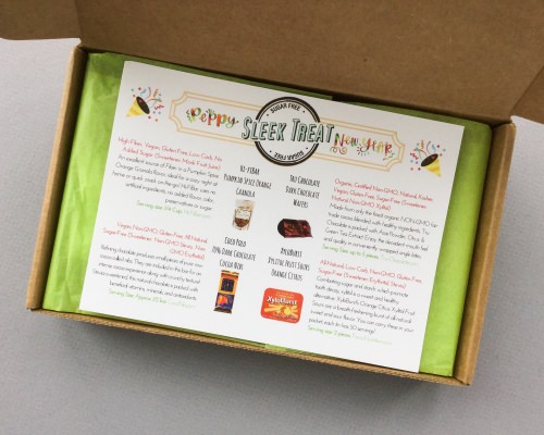 Sleek Treat Subscription Box Review + Promo Code – January 2017