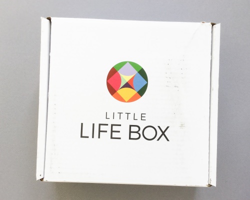 Little Life Box Review + Promo Code – February 2017