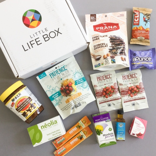 Little Life Box Review + Promo Code – February 2017