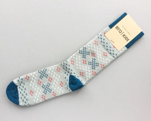 Sock Club Review + Get a FREE Month – February 2017
