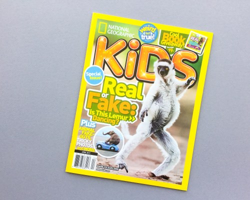 Nerd Block Jr. Boys Review + Coupon Code – March 2017