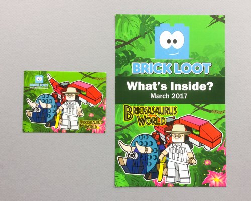 Brick Loot Review + Coupon Code – March 2017