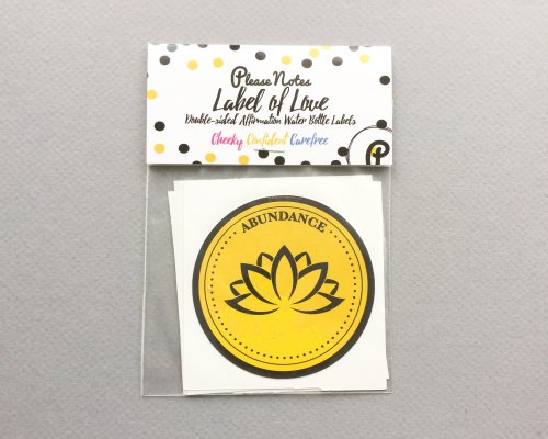 BuddhiBox Review + Coupon Code March 2017