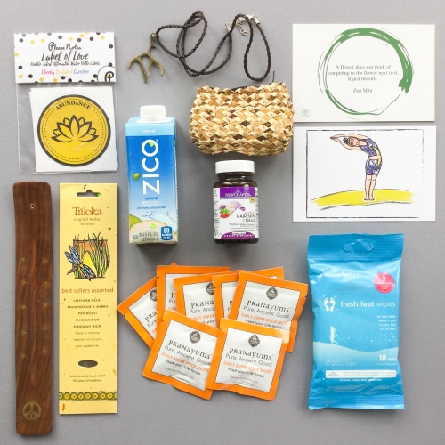 BuddhiBox Review + Coupon Code – March 2017
