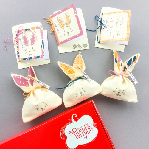 Paper Pumpkin Subscription Box Review – March 2017