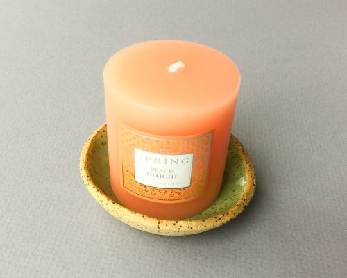 Earth Wax Fire Subscription Box Review + Coupon Code – March