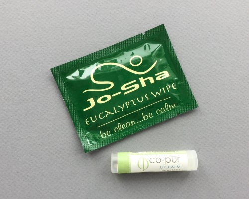 BuddhiBox Review + Coupon Code – February 2017