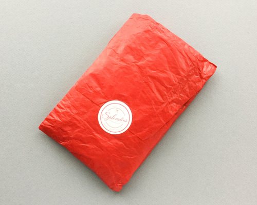 Splendies Review – February 2017