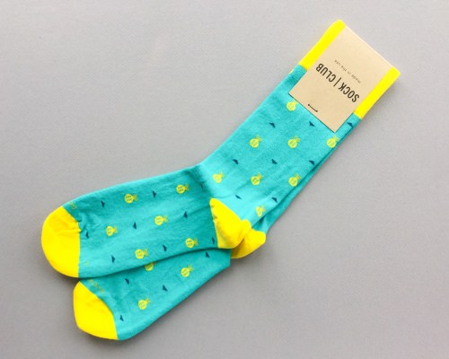 Sock Club Review + Get a FREE Month – March 2017