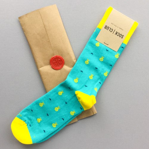 Sock Club Review + Get a FREE Month – March 2017