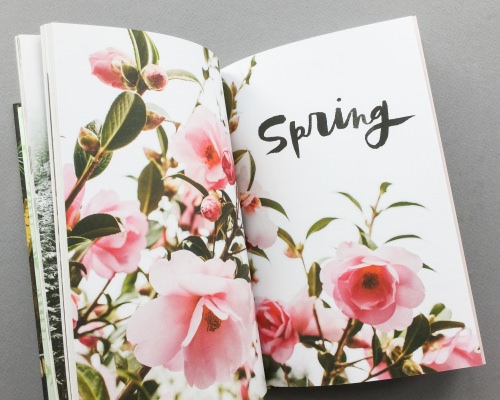 Caring Crate Subscription Box Review + Coupon Code – March 2017
