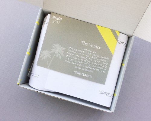 SprezzaBox Review + Coupon Code – March 2017