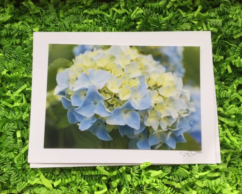 Explore Local Box Review + Coupon Code – April 2017