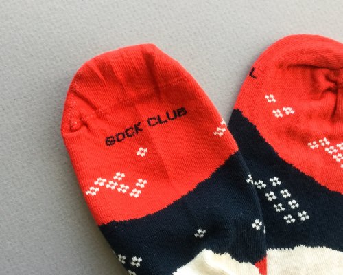 Sock Club Review + Get a FREE Month – April 2017