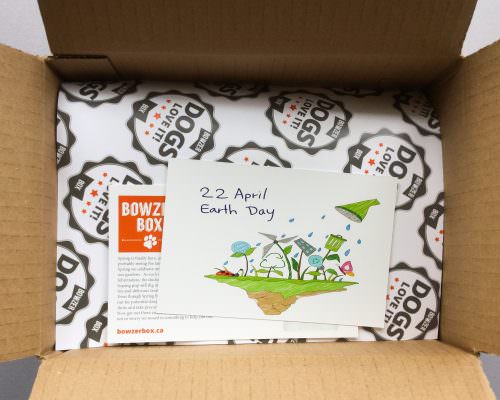 Bowzer Box Review + Discount Code – April 2017