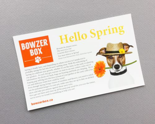 Bowzer Box Review + Discount Code – April 2017