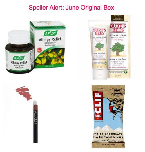 Little Life Box 50% Off Coupon Code & June 2017 Spoilers!