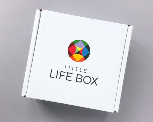 Little Life Box Review + Promo Code – June 2017