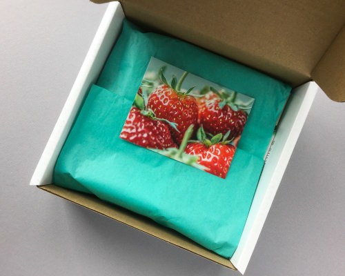 Little Life Box Review + Promo Code – June 2017