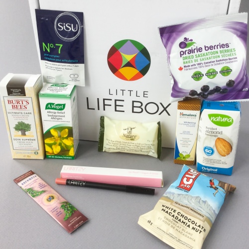 Little Life Box Review + Promo Code – June 2017