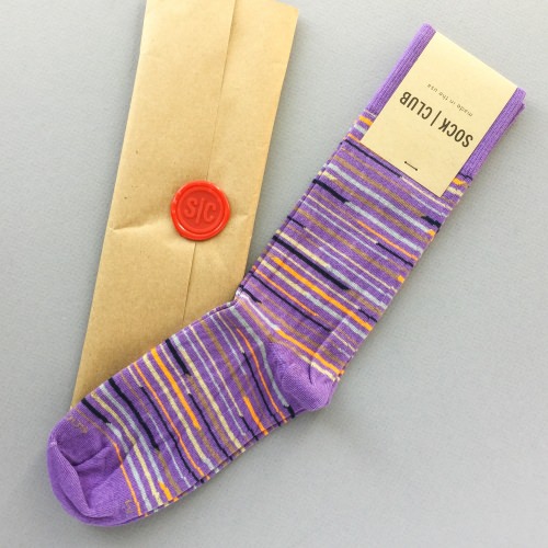 Sock Club Review + Get a FREE Month – June 2017