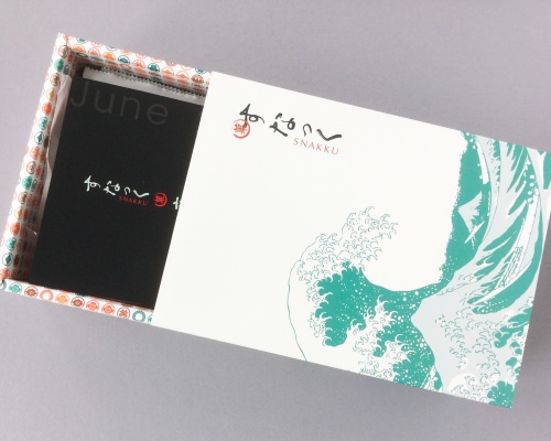 Snakku Subscription Box Review + Promo Code – June 2017