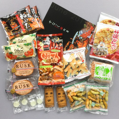 Snakku Subscription Box Review + Promo Code – June 2017