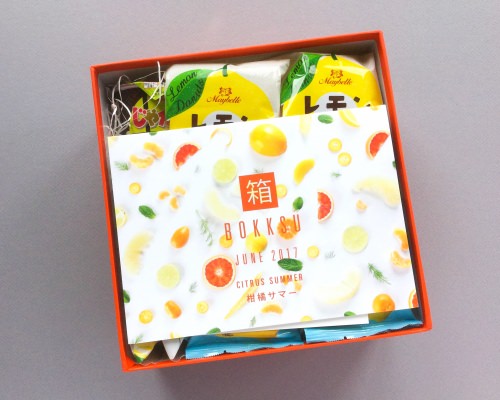 Bokksu Subscription Box Review – June 2017